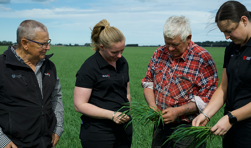 Laying the groundwork for a strong winter season