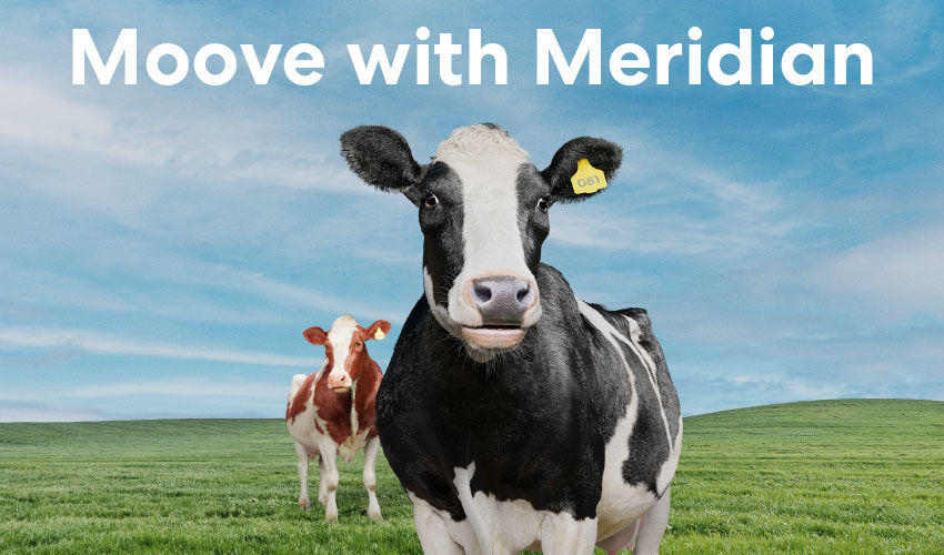 Make the Move with Meridian