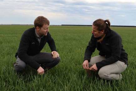 On-Farm Agronomy Support